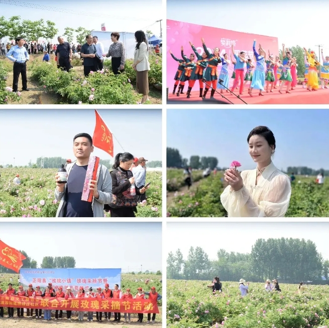 微信截图_20240509171336.png