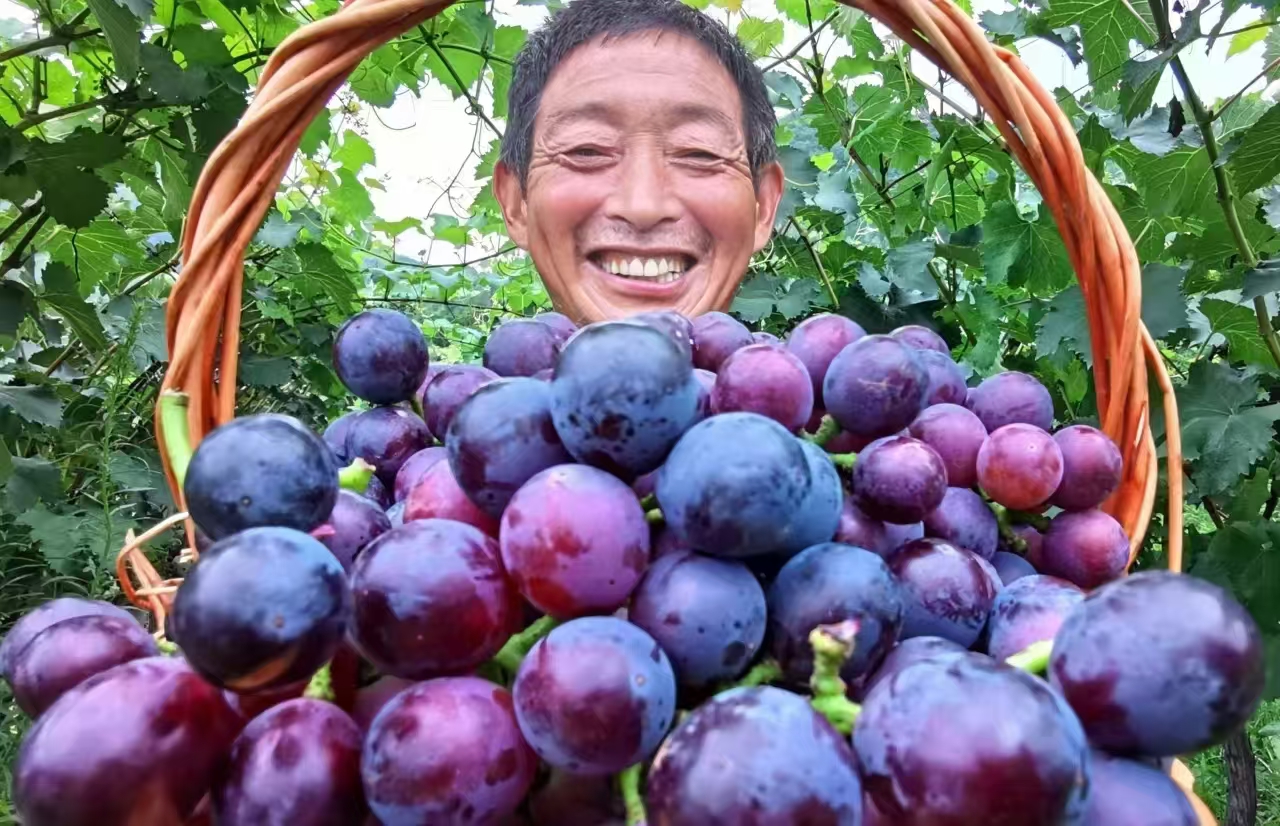 微信图片_20240921131520.jpg