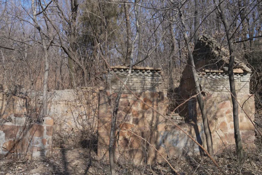 d4431d789a3548e3bf56eb1057f13ce2_tplv-obj.jpg