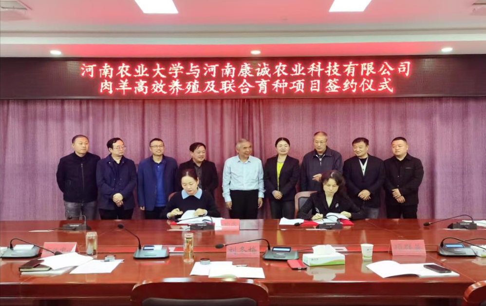 驻马店确山：校地企携手共筑肉羊产业新高地